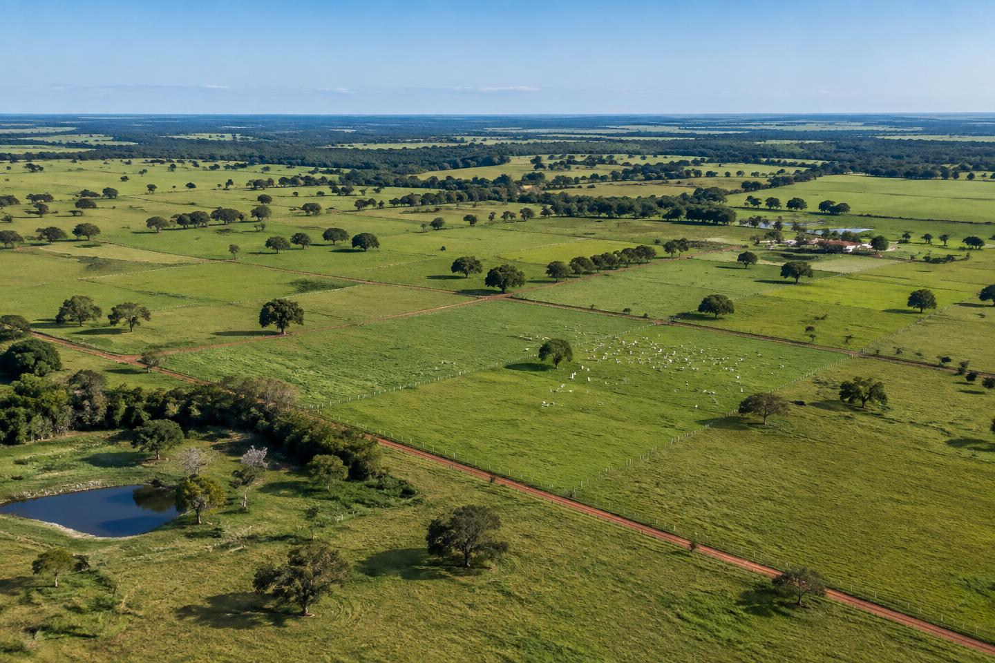 Fazenda e área rural ao pôr do sol